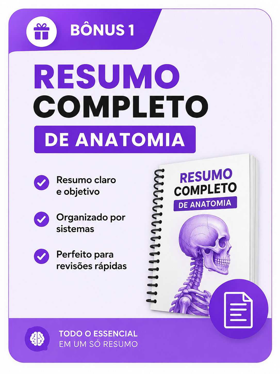 Resumo Completo de Anatomia